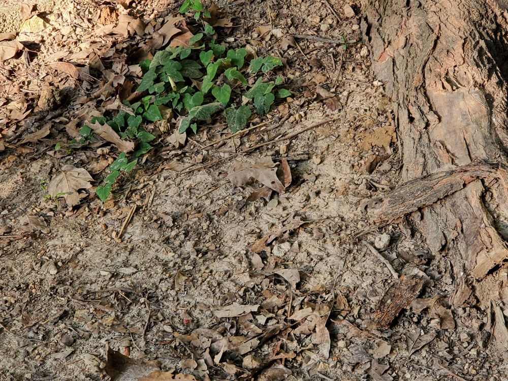 Slide of Pipe Wrench Plumbing, Heating & Cooling