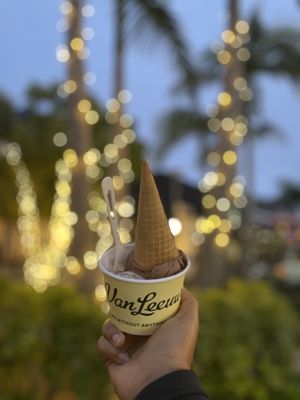 Van Leeuwen Ice Cream by null