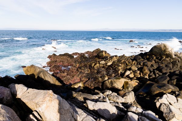 Asilomar State Beach by null