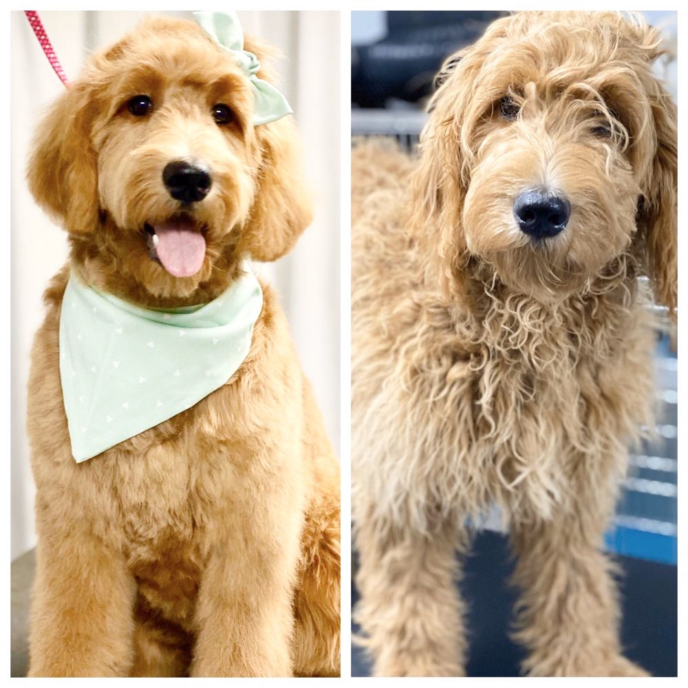 JUAN’S GROOM ROOM Updated June 2024 112 Photos & 59 Reviews Avalon Hills Way, Elk Grove