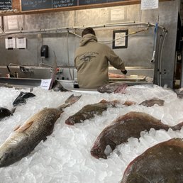 Grouper, Red Snapper, Black Sea Bass. Catch of the day? They're ALL going home with me! Grouper, Red Snapper, Black Sea Bass. Catch of the day? They're ALL going home with me!