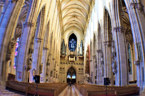 Ulm Minster by null