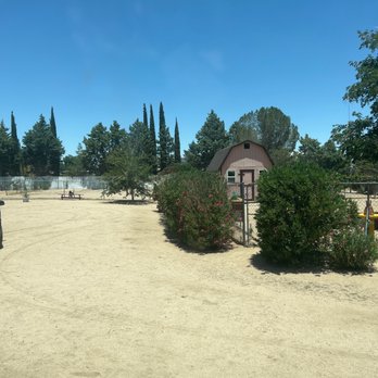 Lucas Unique Care Animals Services - Absolutely love this place!a lot of room for your babies to enjoy! - Pet Boarding Near Me Lucas Unique Care Animals Services - Absolutely love this place!a lot of room for your babies to enjoy! - Pet Boarding Near Me