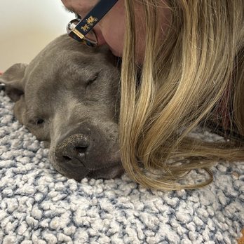 MedVet Pittsburgh - Emergency Pet Hospital Near Me - McMurray, Pennsylvania MedVet Pittsburgh - Emergency Pet Hospital Near Me - McMurray, Pennsylvania