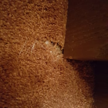 Mammoth Reservation Bureau - This gross carpet really needs to be replaced. - Property Management Near Me - Mammoth Lakes, California