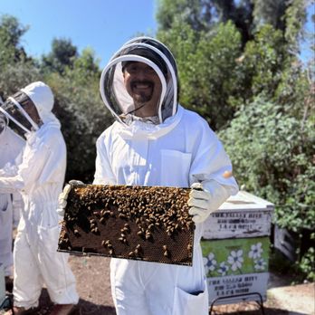 The Valley Hive - Honey Near Me - Chatsworth, California The Valley Hive - Honey Near Me - Chatsworth, California