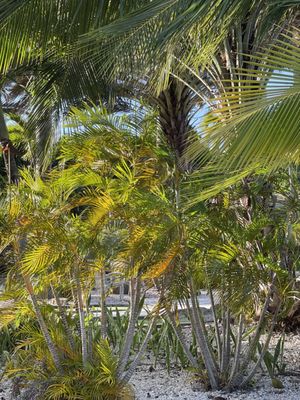 Fajardo Inn by null