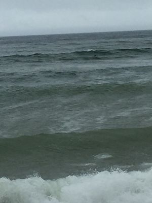 Longnook Beach by null