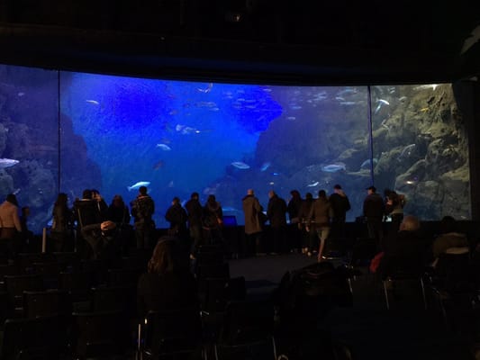 National Marine Aquarium by null