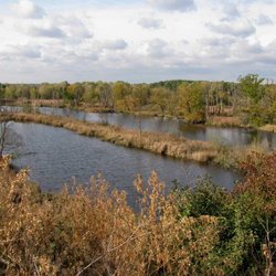Nsg Köppchensee - Schöner Blick.