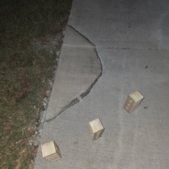 Grizzly Tree Experts - The aftermath of the botched job! - Tree Services Near Me Grizzly Tree Experts - The aftermath of the botched job! - Tree Services Near Me
