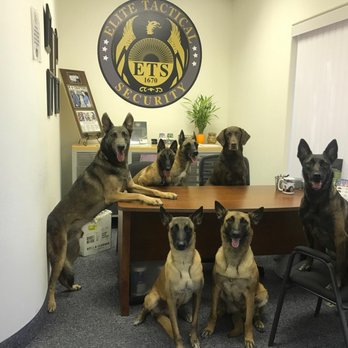 Elite Tactical Security Solutions - ETSK9 TEAMS - Security Services Near Me - Henderson, Nevada Elite Tactical Security Solutions - ETSK9 TEAMS - Security Services Near Me - Henderson, Nevada