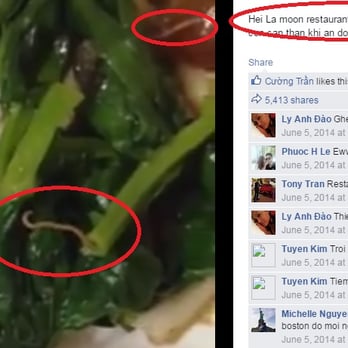 Hei La Moon - Worms in the food. Yucky! Avoid at all costs! - Dim Sum Near Me - Boston, Massachusetts