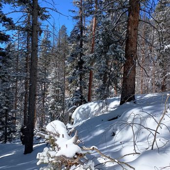 Mueller State Park - Hiking Near Me - Divide, Colorado