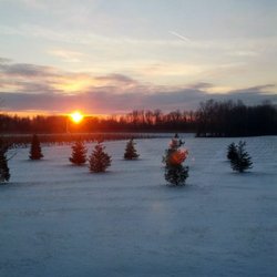 Cobblestone B&B - Winter sunset and vineyard