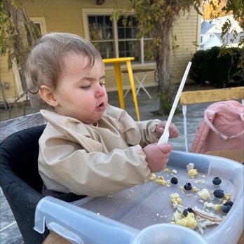 J.J. Hapgood General Store & Eatery - Poppy eating turkey and corn muffin, blueberries and cheese - Grocery Near Me - Peru, Vermont