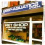 Photo of deep aquatics