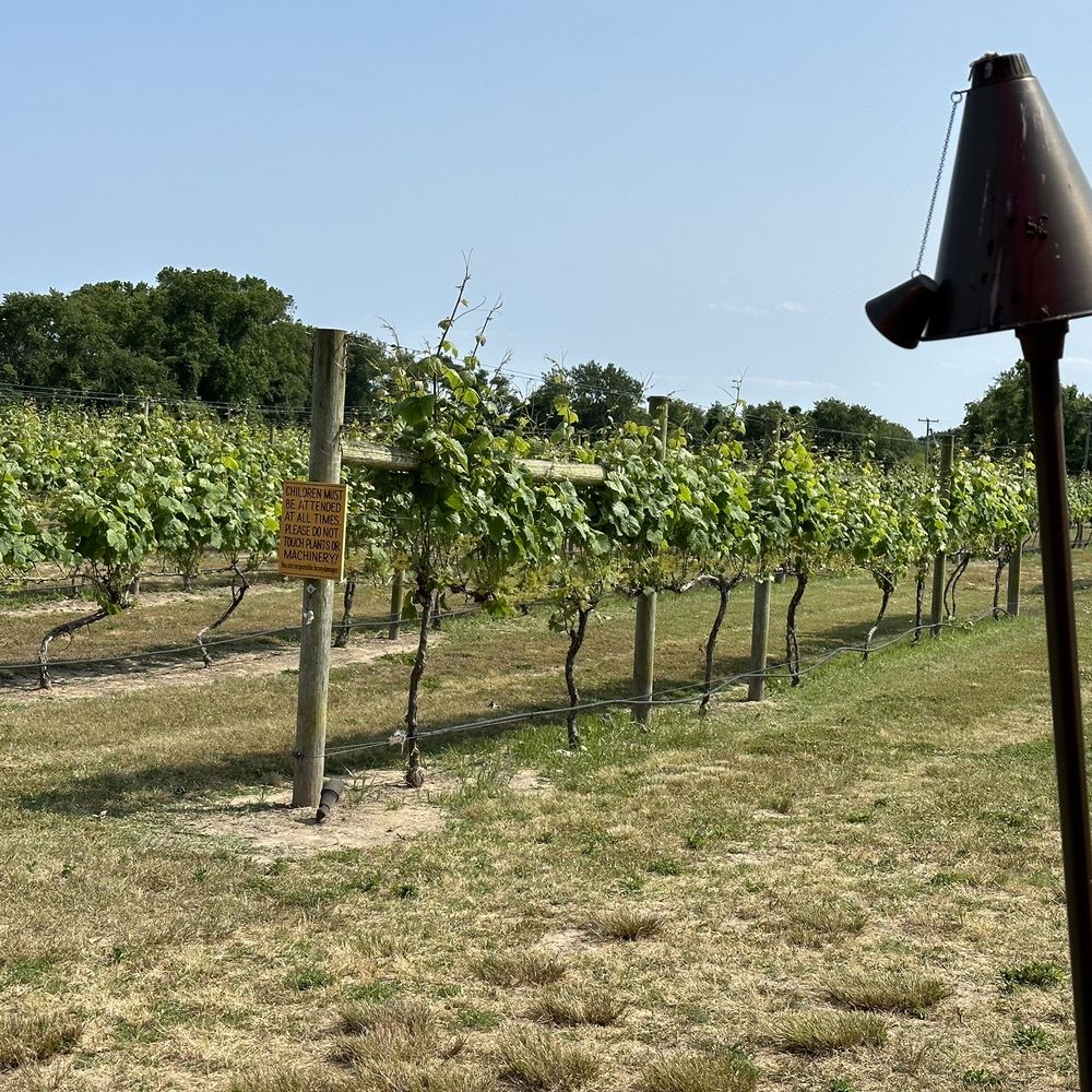 Willow Creek Winery - Wineries Near Me - West Cape May, New Jersey Willow Creek Winery - Wineries Near Me - West Cape May, New Jersey