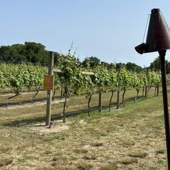 Willow Creek Winery - Wineries Near Me - West Cape May, New Jersey Willow Creek Winery - Wineries Near Me - West Cape May, New Jersey