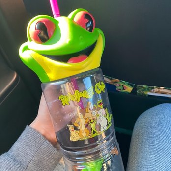 Rainforest Cafe - Fun frog mug - American Near Me - Galveston, Texas