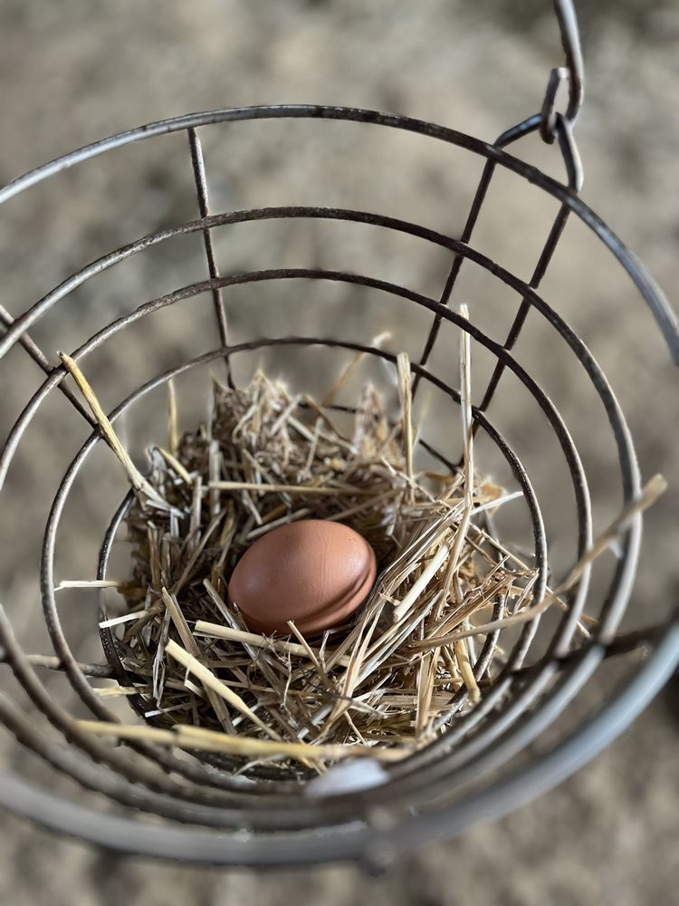 VERDANT VIEW FARM Updated August 2024 113 Photos & 40 Reviews 429