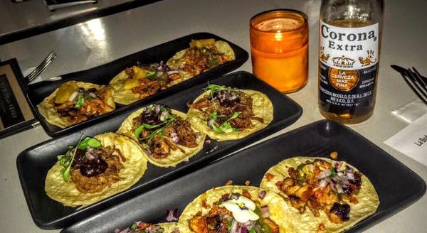 La Bodega Negra Restaurant by null