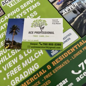 Ace Professional Tree Care - Tree Services Near Me Ace Professional Tree Care - Tree Services Near Me