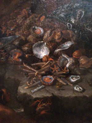 Art Gallery of South Australia by null