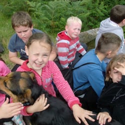 Welsh Pit Ponies Centre - Visiting children having fun with Roxy