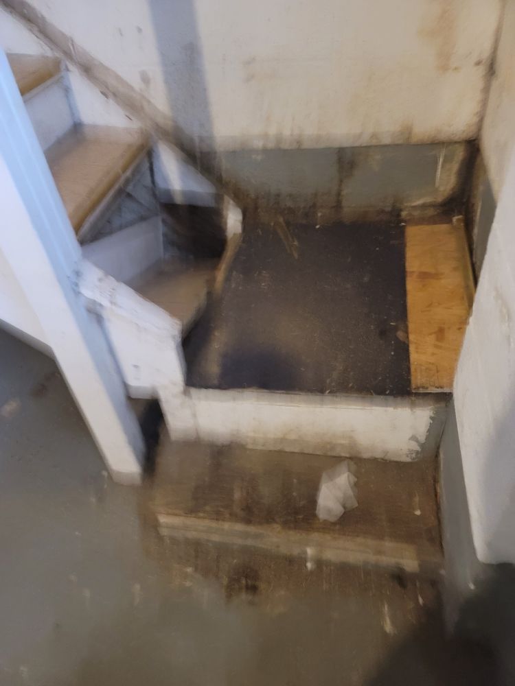 Slide of Detroit Rescue My Home