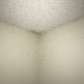 Lakes at Pembroke - Black mold - Apartments Near Me - Pembroke Pines, Florida Lakes at Pembroke - Black mold - Apartments Near Me - Pembroke Pines, Florida