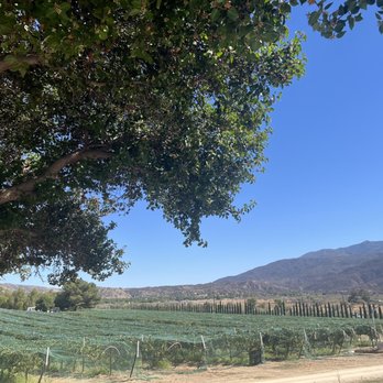 Khm Produce - Pick Your Own Farms Near Me - Aguanga, California