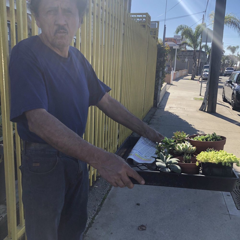 Lucky Plants - Helped me to my car. Thank you. - Nurseries & Gardening Near Me - Hermosa Beach, California Lucky Plants - Helped me to my car. Thank you. - Nurseries & Gardening Near Me - Hermosa Beach, California