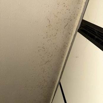 Super Steam Bros - Before - Carpet Cleaning Near Me