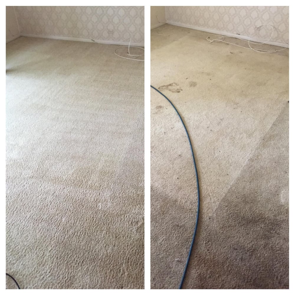 EXECUTIVE GREEN CARPET CLEANING Updated October 2024 12 Reviews