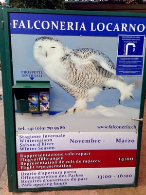Falconeria Locarno by null