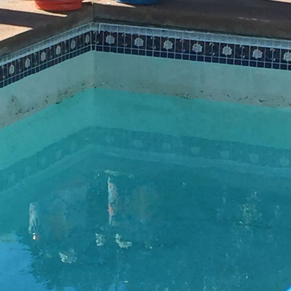 Pool Care Solutions - Before... - Pool Cleaners Near Me - Palm Springs, California