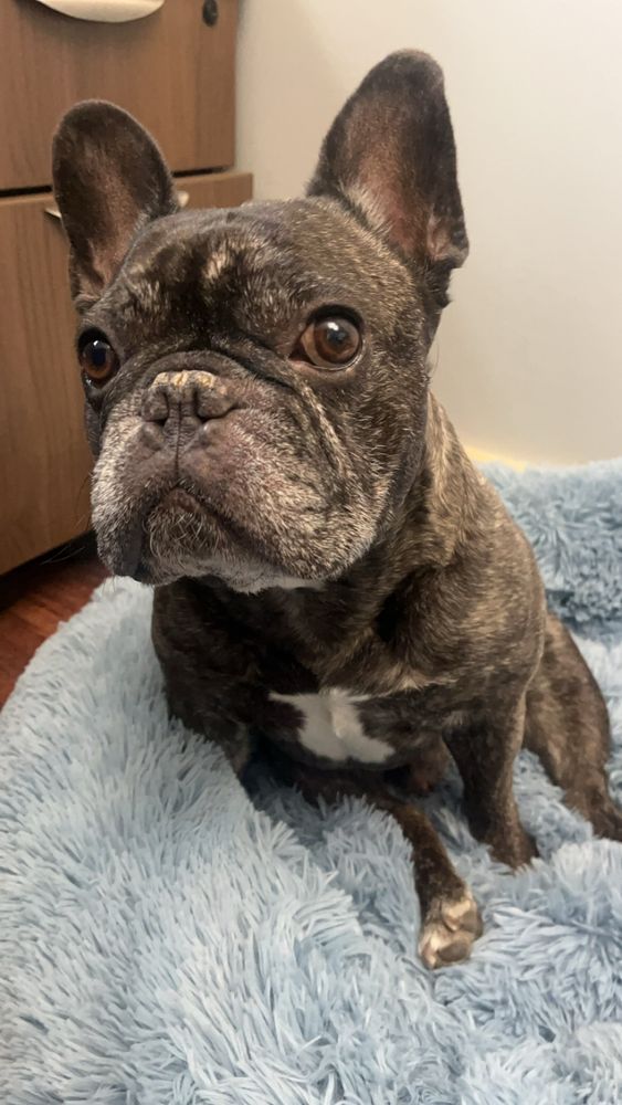 Slide of GreenTek Roofing & Solar