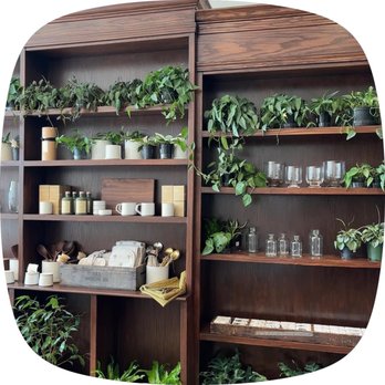 Verdant - Plants, pots, vases, ceramics - Florists Near Me - Lawrence, Kansas