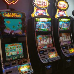 Gambler's Paradise