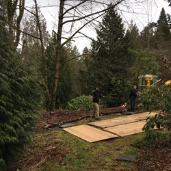 Westerlund Tree Service - The care taken to move equipment over our septic system