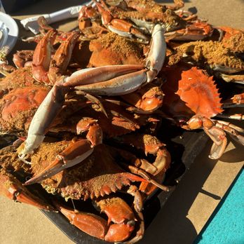 The Jetty - Crab!!! - Seafood Near Me - Grasonville, Maryland The Jetty - Crab!!! - Seafood Near Me - Grasonville, Maryland