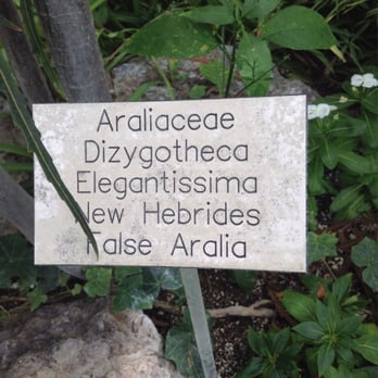 Allan Gardens - Come-on; you can pronounce this, lol - Parks Near Me - Toronto, Ontario Allan Gardens - Come-on; you can pronounce this, lol - Parks Near Me - Toronto, Ontario