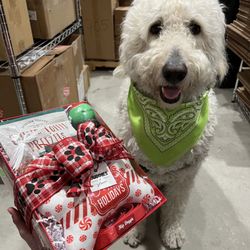 Lucca the Napa Dog - Lucca helping make buddies gifts for the holidays!