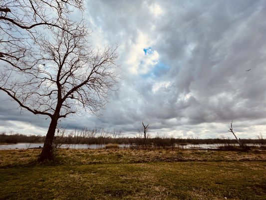 Brazos Bend State Park by null