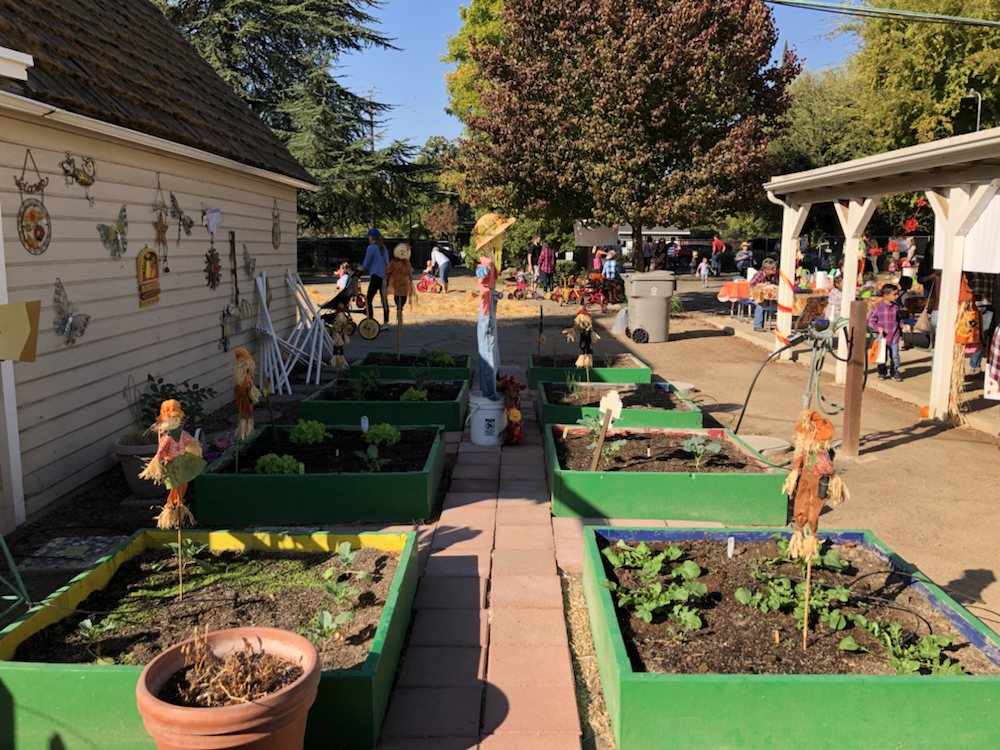 FAIRMONT PRIVATE SCHOOL OF FRESNO 13 Reviews Child Care & Day Care