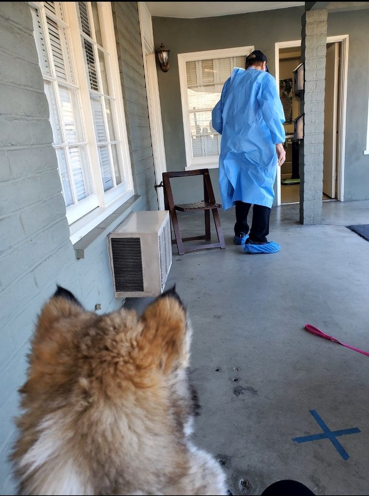 BOULEVARD ANIMAL CLINIC Updated September 2024 20 Reviews 7047 El Cajon Blvd, San Diego