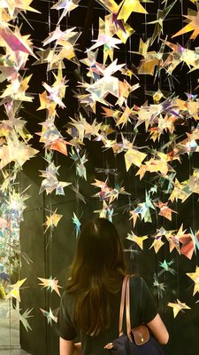 Galeria Melissa NY by null