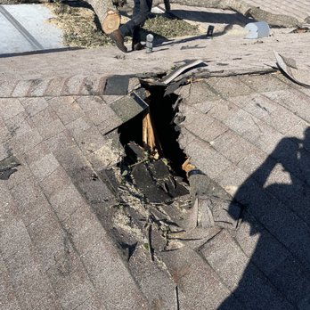 TD Trees - a man standing on the roof of a house - Tree Services Near Me TD Trees - a man standing on the roof of a house - Tree Services Near Me