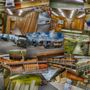 Photo of Montalbano Lumber